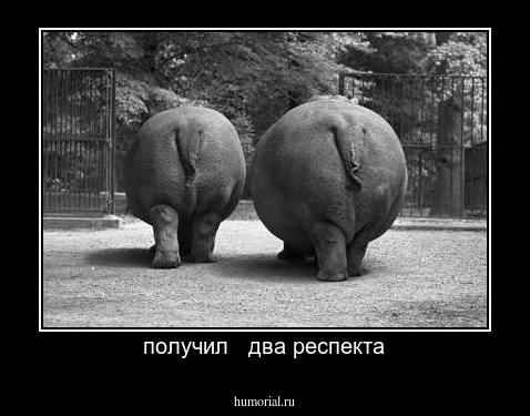 получил   два респекта