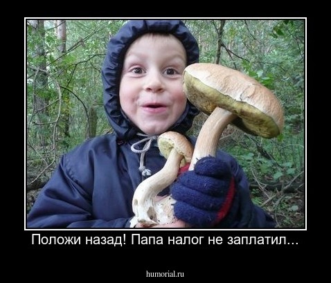 Положи назад! Папа налог не заплатил...