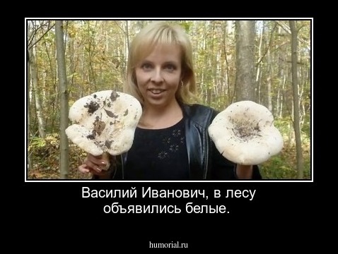 Василий Иванович, в лесу объявились белые.                 