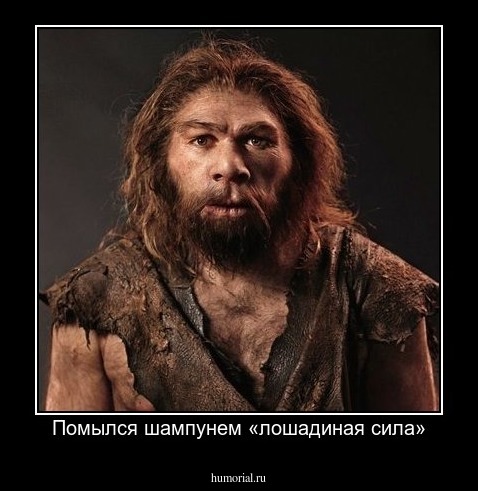 Помылся шампунем «лошадиная сила»