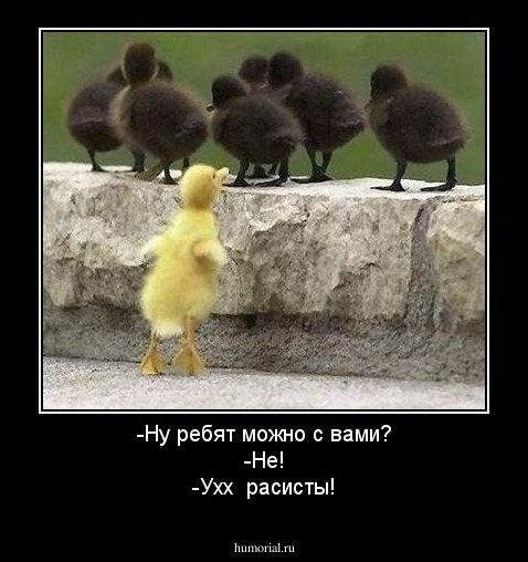 -Ну ребят можно с вами?
-Не!
-Ухх  расисты!