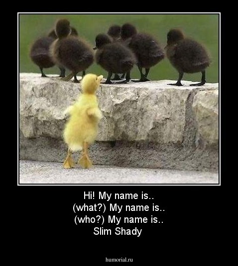 Hi! My name is.. (what?) My name is.. (who?)
My name is.. Slim Shady

