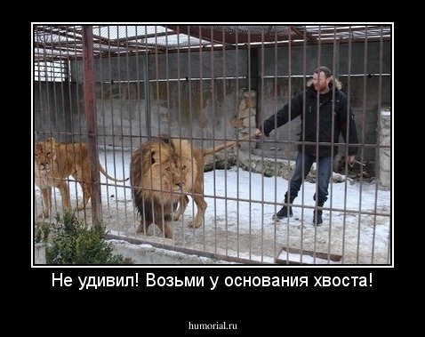 Не удивил! Возьми у основания хвоста!