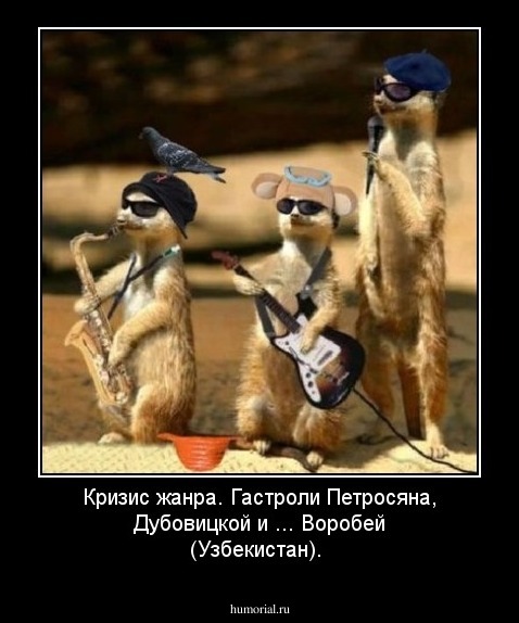 Кризис жанра. Гастроли Петросяна, Дубовицкой и ... Воробей (Узбекистан).