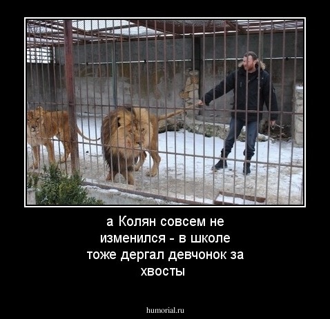 а Колян совсем не изменился - в школе тоже дергал девчонок за хвосты