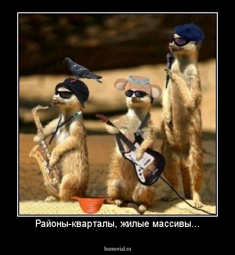 Районы-кварталы, жилые массивы...