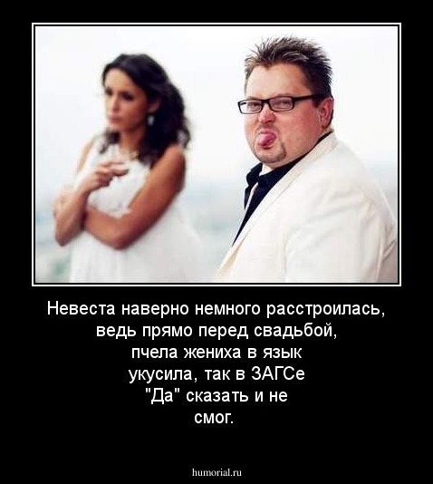 Невеста наверно немного расстроилась, ведь прямо перед свадьбой, пчела жениха в язык укусила, так в ЗАГСе "Да" сказать и не смог.