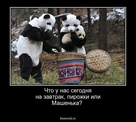 Что у нас сегодня на завтрак, пирожки или Машенька?