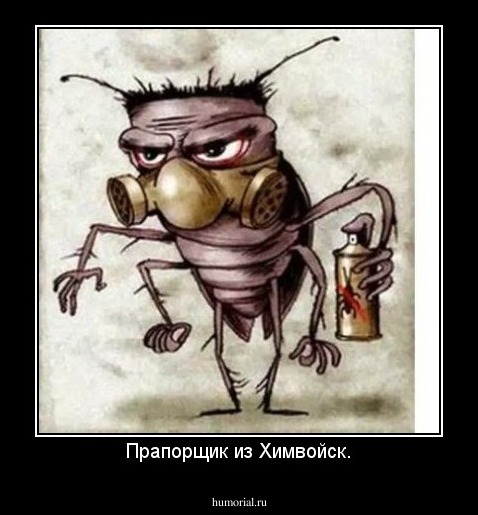 Прапорщик из Химвойск.