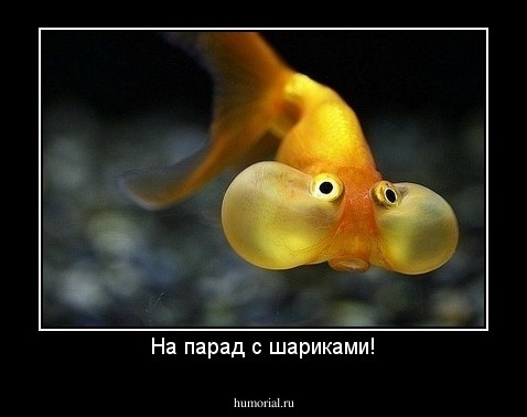 На парад с шариками!