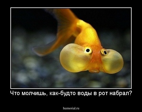 Что молчишь, как-будто воды в рот набрал?