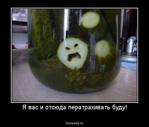 Я вас и отсюда ператрахивать буду!