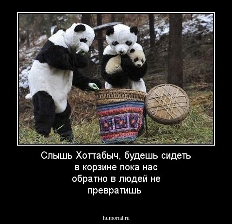 Слышь Хоттабыч, будешь сидеть в корзине пока нас обратно в людей не превратишь