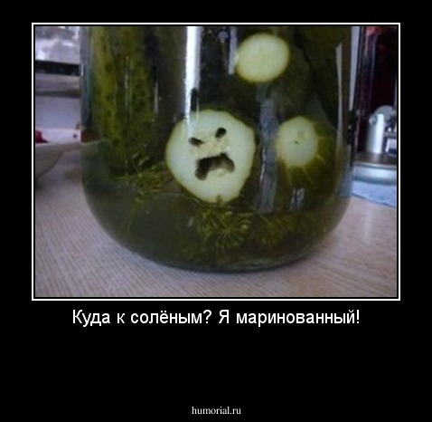 Куда к солёным? Я маринованный!


