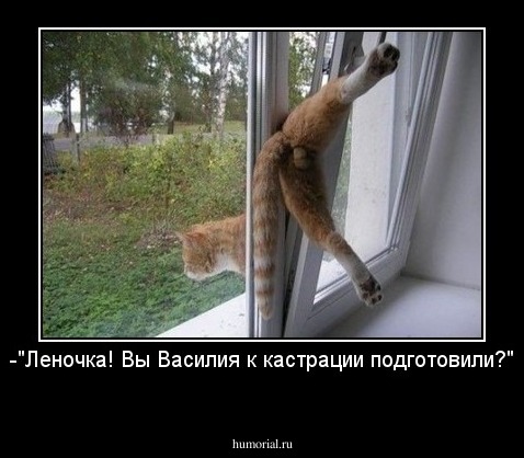 -"Леночка! Вы Василия к кастрации подготовили?"
