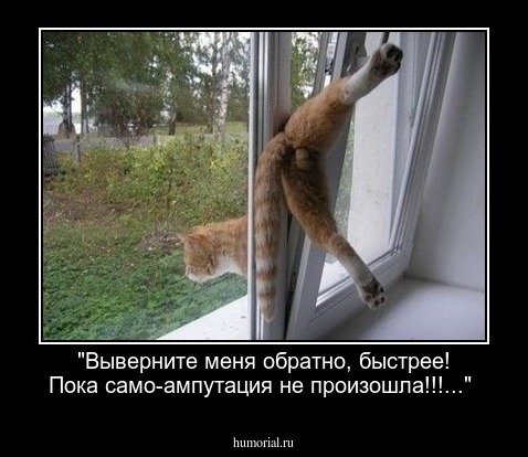 "Выверните меня обратно, быстрее! Пока само-ампутация не произошла!!!..."