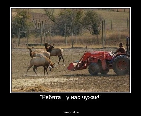 "Ребята...у нас чужак!"