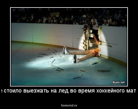 не стоило выезжать на лед во время хоккейного матча