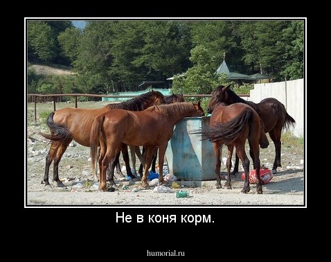 Не в коня корм.