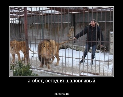 а обед сегодня шаловливый
