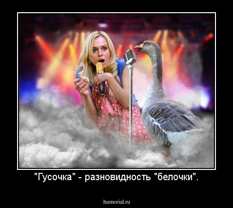 "Гусочка" - разновидность "белочки".
