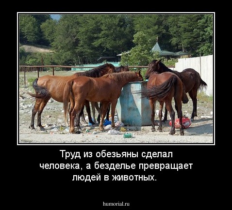 Труд из обезьяны сделал человека, а безделье превращает людей в животных.