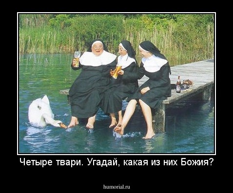 Четыре твари. Угадай, какая из них Божия?
