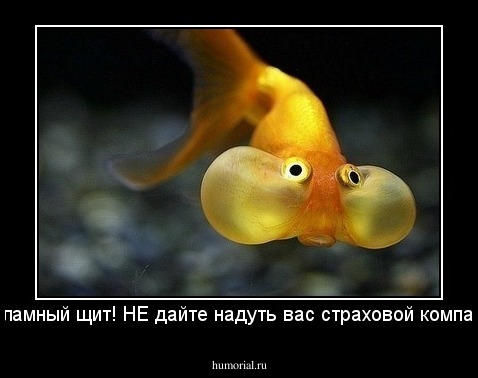 Рекламный щит! НЕ дайте надуть вас страховой компании!