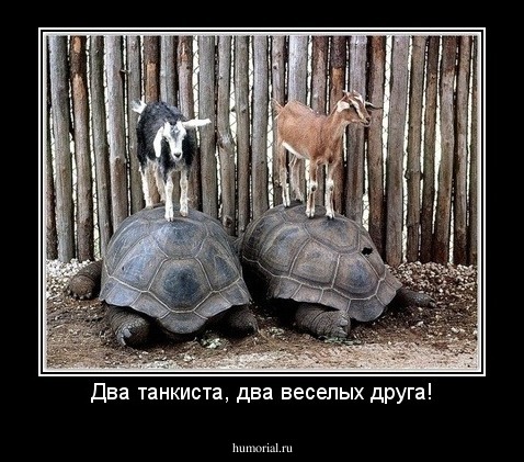Два танкиста, два веселых друга!