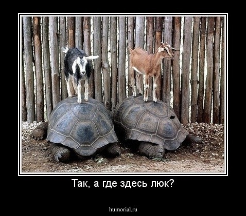 Так, а где здесь люк?