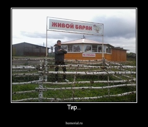 Тир..