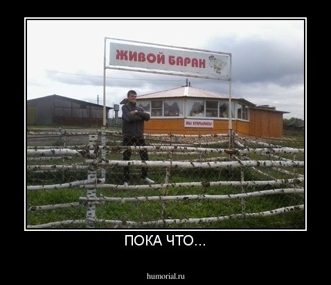 ПОКА ЧТО...