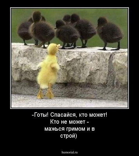-Готы! Спасайся, кто может! Кто не может - мажься гримом и в строй)