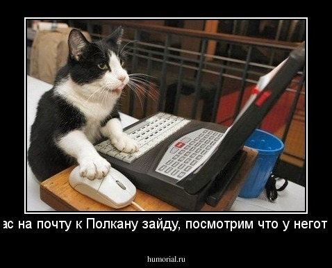 щас на почту к Полкану зайду, посмотрим что у неготам