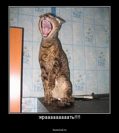 жрааааааааать!!!!