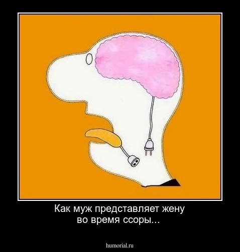Как муж представляет жену во время ссоры...