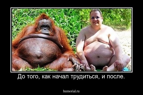 До того, как начал трудиться, и после.