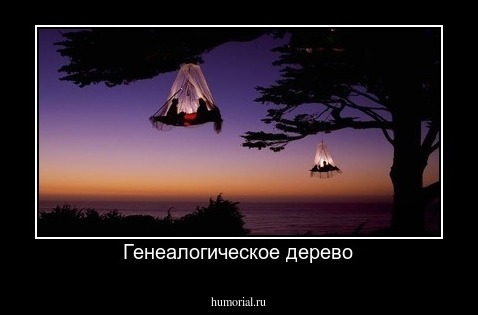 Генеалогическое дерево