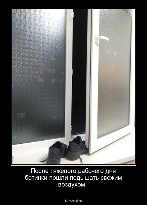 После тяжелого рабочего дня ботинки  пошли подышать свежим воздухом.