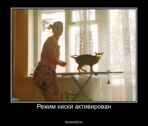 Режим киски активирован