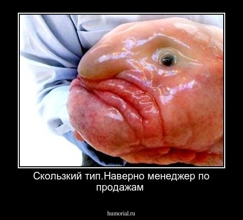 Скользкий тип.Наверно менеджер по продажам  