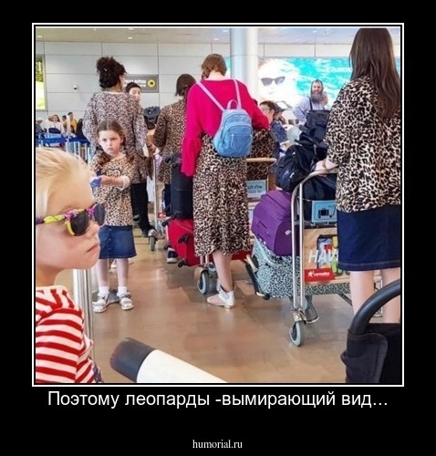 Поэтому леопарды -вымирающий вид...