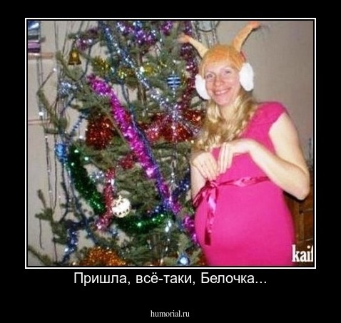 Пришла, всё-таки, Белочка...