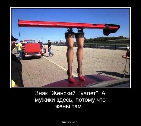 Знак "Женский Туалет". А  мужики здесь, потому что жены там.