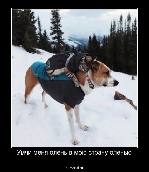 Умчи меня олень в мою страну оленью