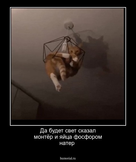 Да будет свет сказал монтёр и яйца фосфором натер