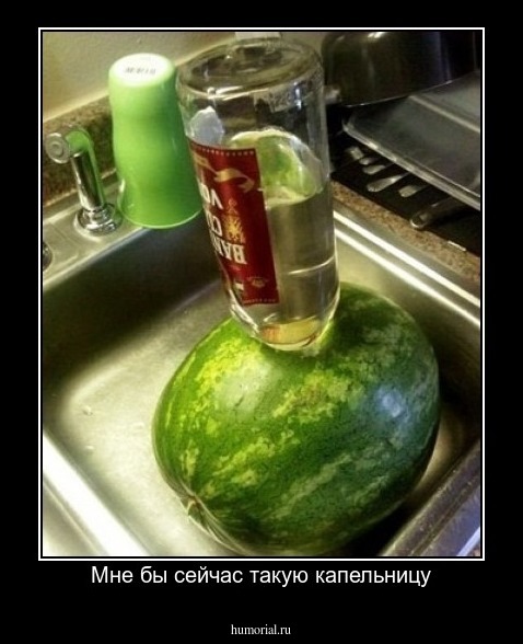 Мне бы сейчас такую капельницу