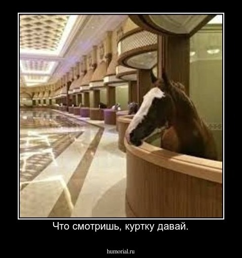 Что смотришь, куртку давай.