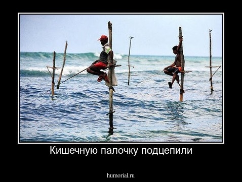 Кишечную палочку подцепили