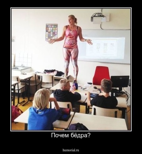 Почем бёдра?